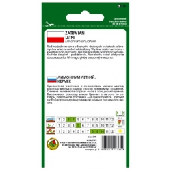 Nasiona Zatrwian letni Gold Coast żółty pnos916