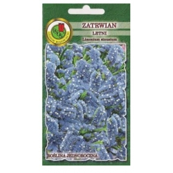 Nasiona Zatrwian letni Haevenly Blue pnos917