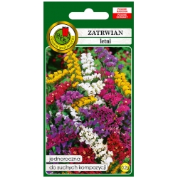 Nasiona Zatrwian letni mieszany pnos919