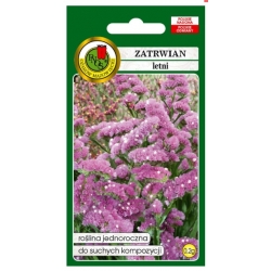 Nasiona Zatrwian letni różowy pnos914