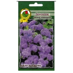 Nasiona Żeniszek Tetra Blue Mink pnos934