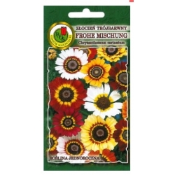 Nasiona Złocień trójbar Frohe Mischung pnos925