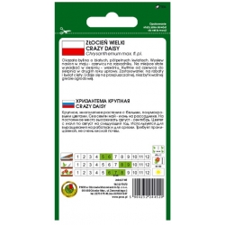 Nasiona Złocień wielki Crazy Daisy biały pnos927