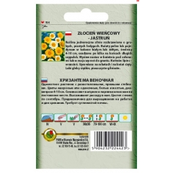 Nasiona Złocień wieńcowy jastruń pnos928