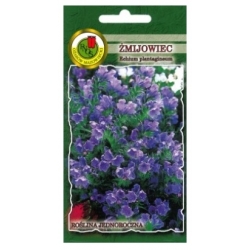Nasiona Żmijowiec niebieski pnos935