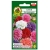 Nasiona Aster chryzantemowy mieszany pnos628