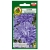 Nasiona Aster chryzantemowy niebieski pnos629