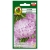 Nasiona Aster peoniowy białoróż pnos655