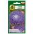 Nasiona Aster peoniowy niebieski pnos654