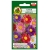 Nasiona Aster pojedynczy mieszany pnos662