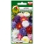 Nasiona Aster wysoki mieszany pnos665