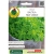 Nasiona Bazylia Fine Verde pnos529