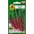 nasiona Burak liściowy Rhubarb Chard pnos29