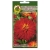 Nasiona Cynia chryzantem Red Man pnos683