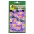 Nasiona Erigeron przymiotno pnos714