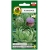 nasiona Karczoch zwy Vert de Provence pnos145