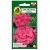 Nasiona Pelargonia rabatowa różowa pnos853