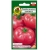 nasiona Pomidor gruntowy Faworyt pnos275