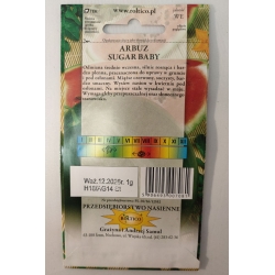 Arbuz Sugar Baby czerwony roltx3