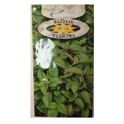 Bazylia właściwa roltx12