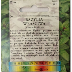 Bazylia właściwa roltx12