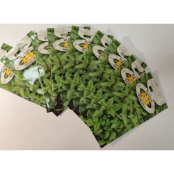 Bazylia właściwa roltx12