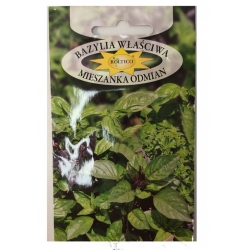 Bazylia właściwa mieszanka odmian roltx9