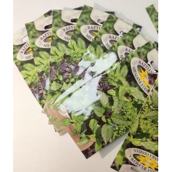 Bazylia właściwa mieszanka odmian roltx9