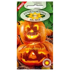 Dynia olbrzymia Big Max roltx14