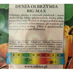 Dynia olbrzymia Big Max roltx14