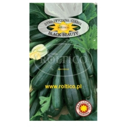 Dynia zwyczajna Black Beauty Cukinia roltx8