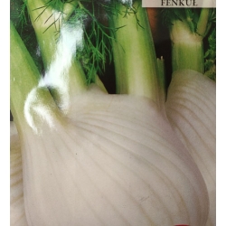 Koper włoski Mammouth fenkuł roltx16