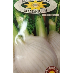 Koper włoski Mammouth fenkuł roltx16