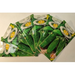 Ogórek gruntowy Borus roltx5