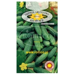 Ogórek gruntowy Racibor F1 roltx17