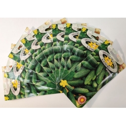 Ogórek gruntowy Racibor F1 roltx17