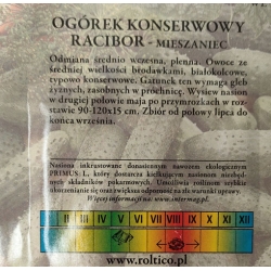 Ogórek gruntowy Racibor F1 roltx17
