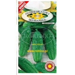 Ogórek gruntowy Śremski F1 roltx15