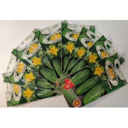 Ogórek gruntowy Śremski F1 roltx15