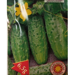 Ogórek gruntowy Śremski F1 roltx15