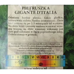 Pietruszka naciowa Gigante Ditalia roltx10