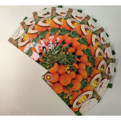 Pomidor koktajlowy Venus roltx11