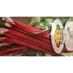 Rabarbar Victoria rzewień roltx18