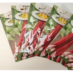 Rabarbar Victoria rzewień roltx18