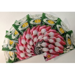 Rzodkiewka Dedix Huit Jours roltx4