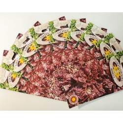 Sałata liściowa Rosela roltx6