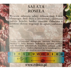 Sałata liściowa Rosela roltx6