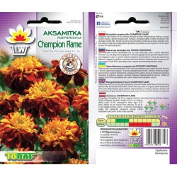 Nasiona Aksamitka rozp. Champion Flame Tor237