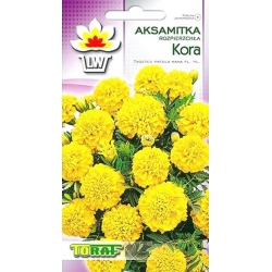 Nasiona Aksamitka rozp. Kora niska Tor238