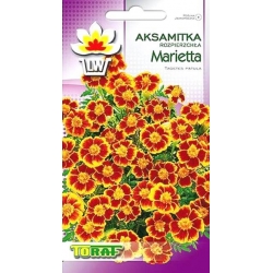 Nasiona Aksamitka rozp. Marietta niska Tor240